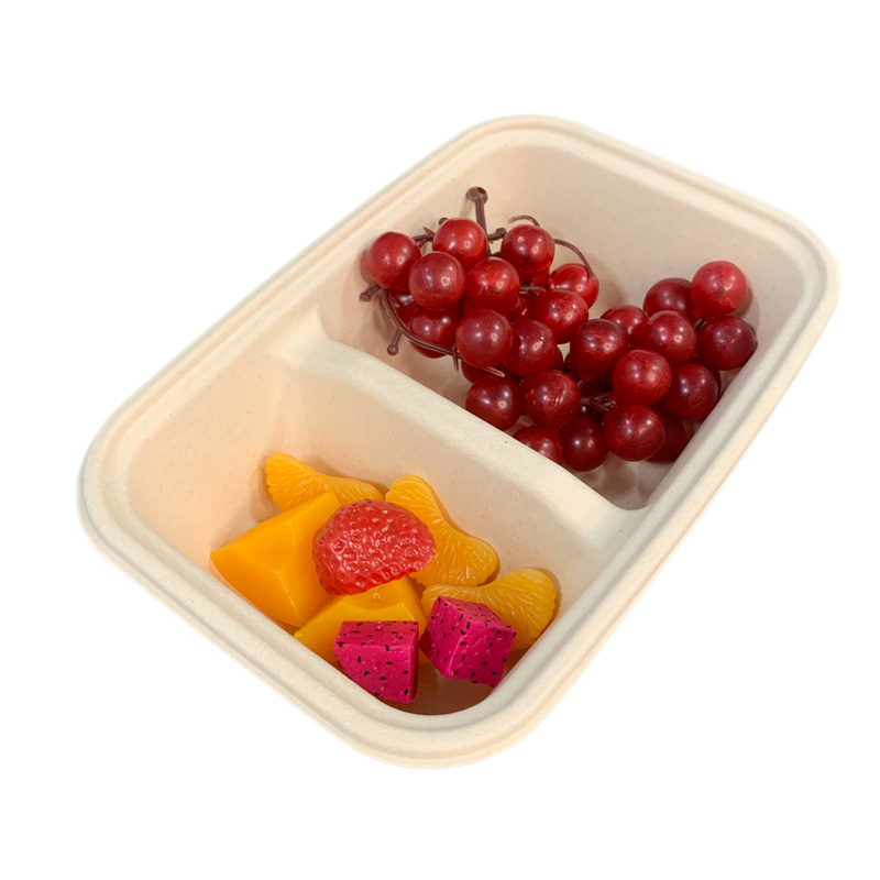 2Compartment Bagasse Food Containers Salad Tray