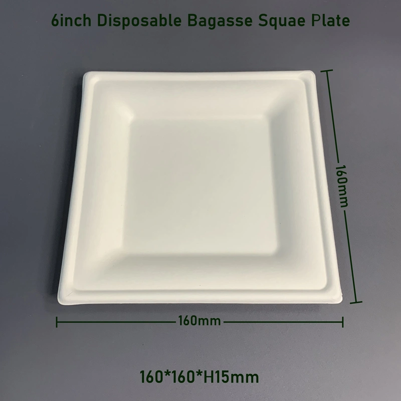 6 Inch Biodegradable Square Bagasse Disposable Plate