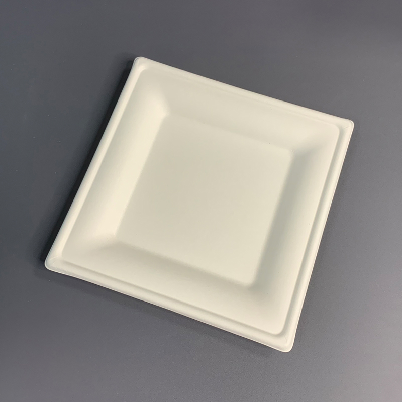 6 Inch Biodegradable Square Bagasse Disposable Plate