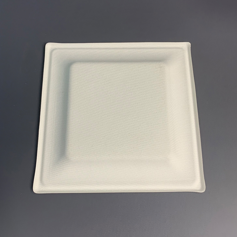 6 Inch Biodegradable Square Bagasse Disposable Plate
