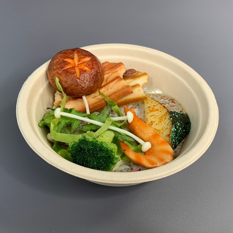 Sugarcane Bagasse Bowl