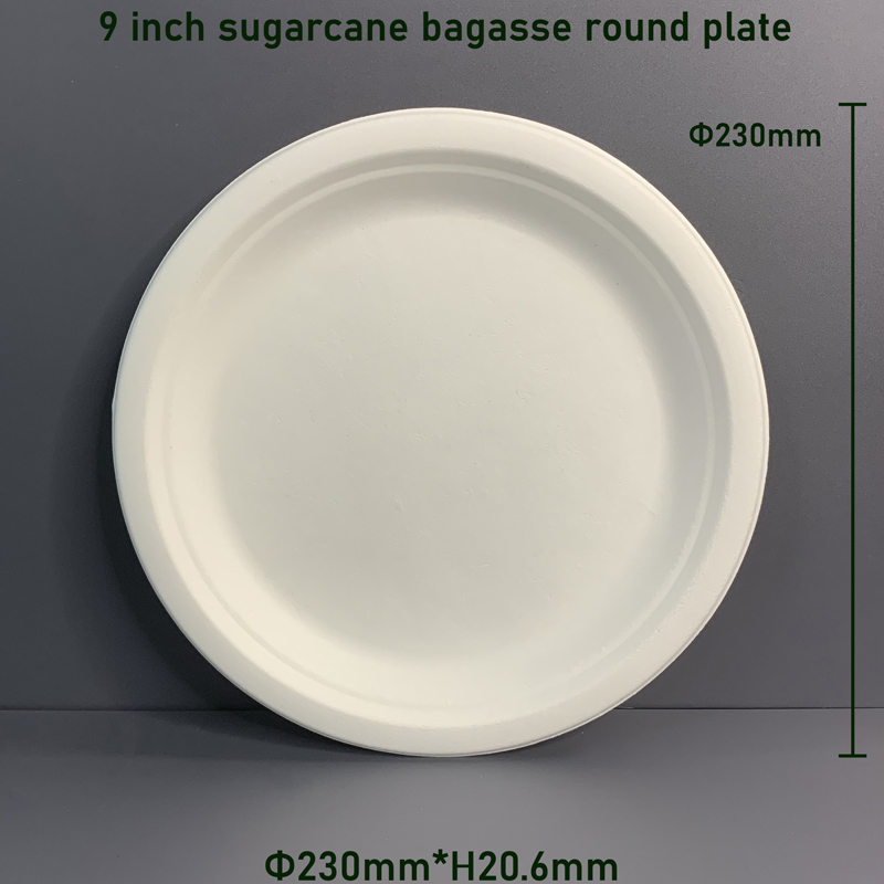 9 Inch Compostable Sugarcane Pulp Plate Disposable Sushi Trays