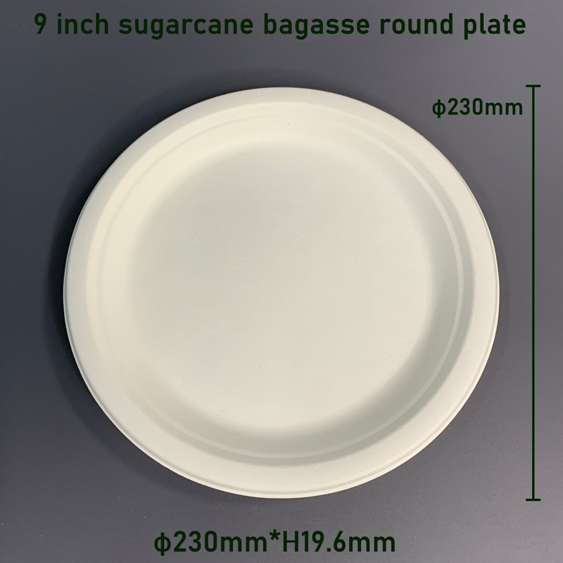 9 inch Sugarcane Bagasse Dispostable Food Plate