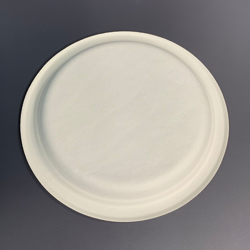 Dispostable Food Plate