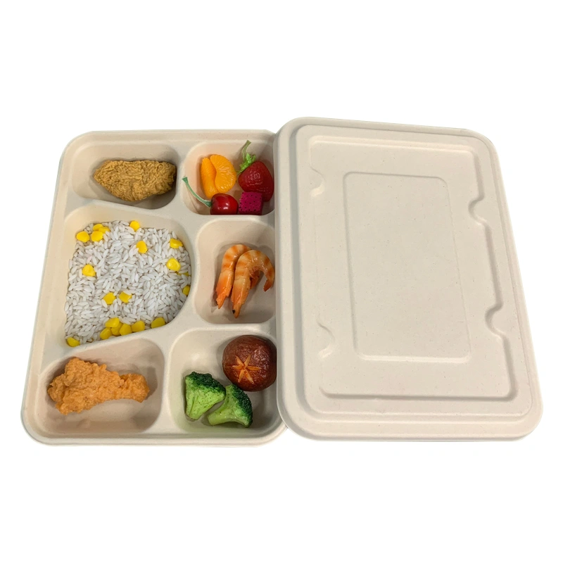 Biodegradable Bagasse Food Tray with Lid