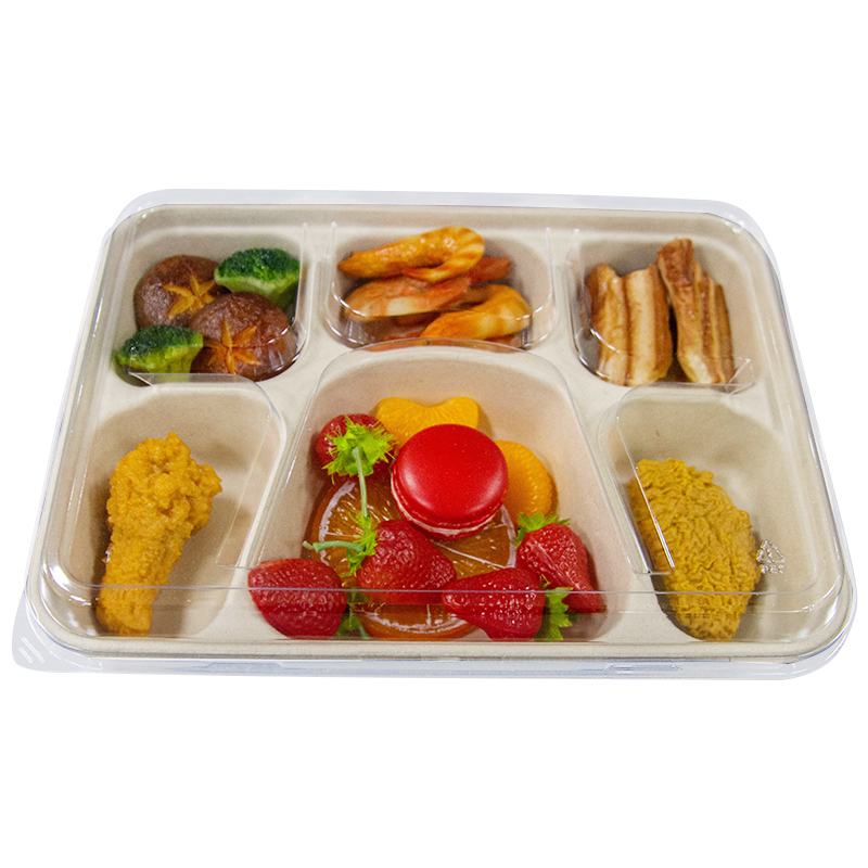 Compostable Bagasse Food Tray with Clear PET Lid