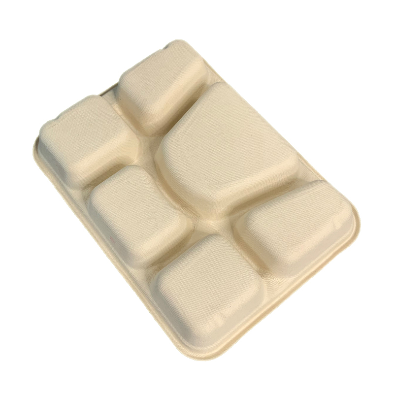 6Compartments Biodegradable Bagasse Food Tray School Lunch Tray