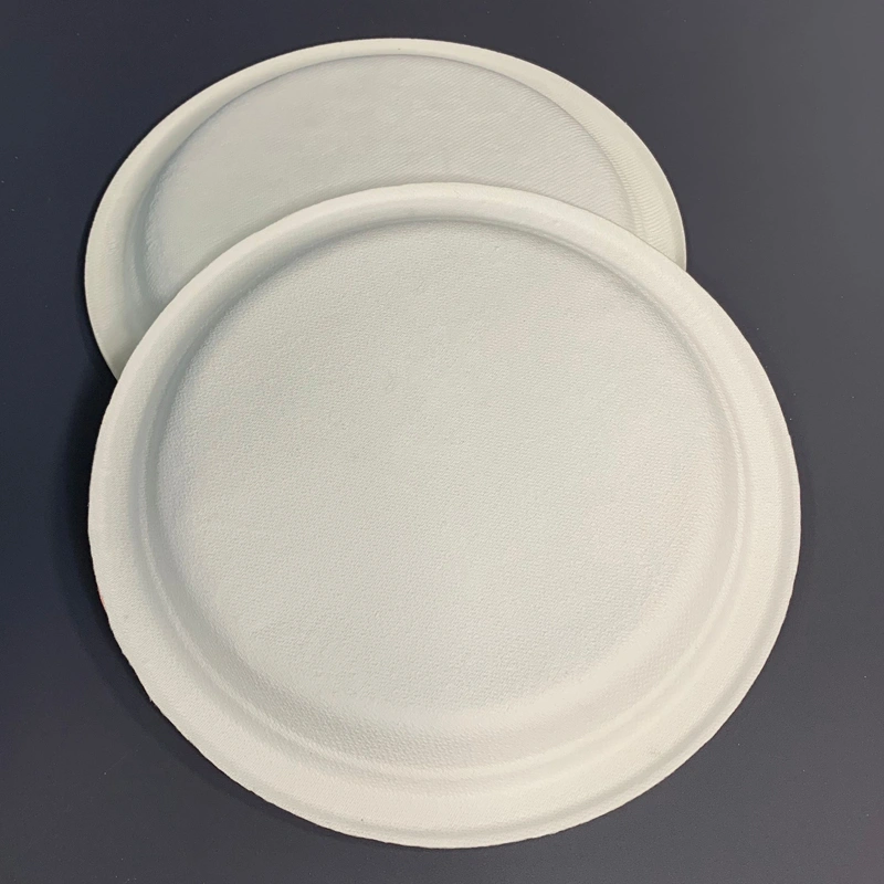 Bagasse Biodegradable Food Plate