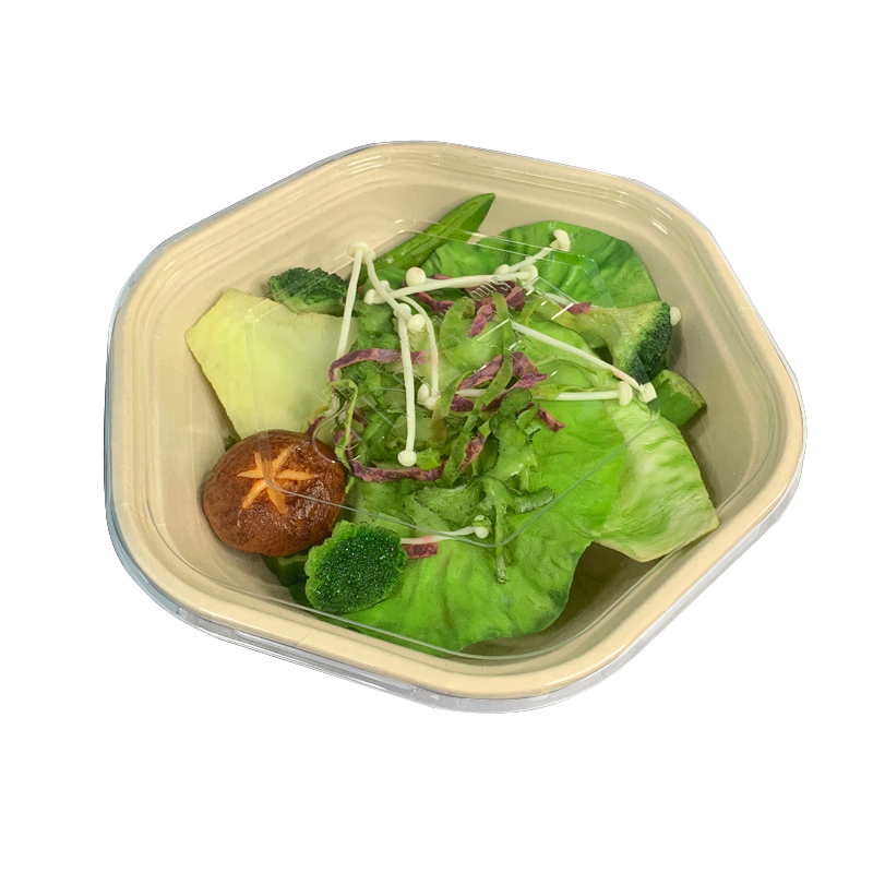 Biodegradable Bagasse Hexagonal Salad Bowl with Lid