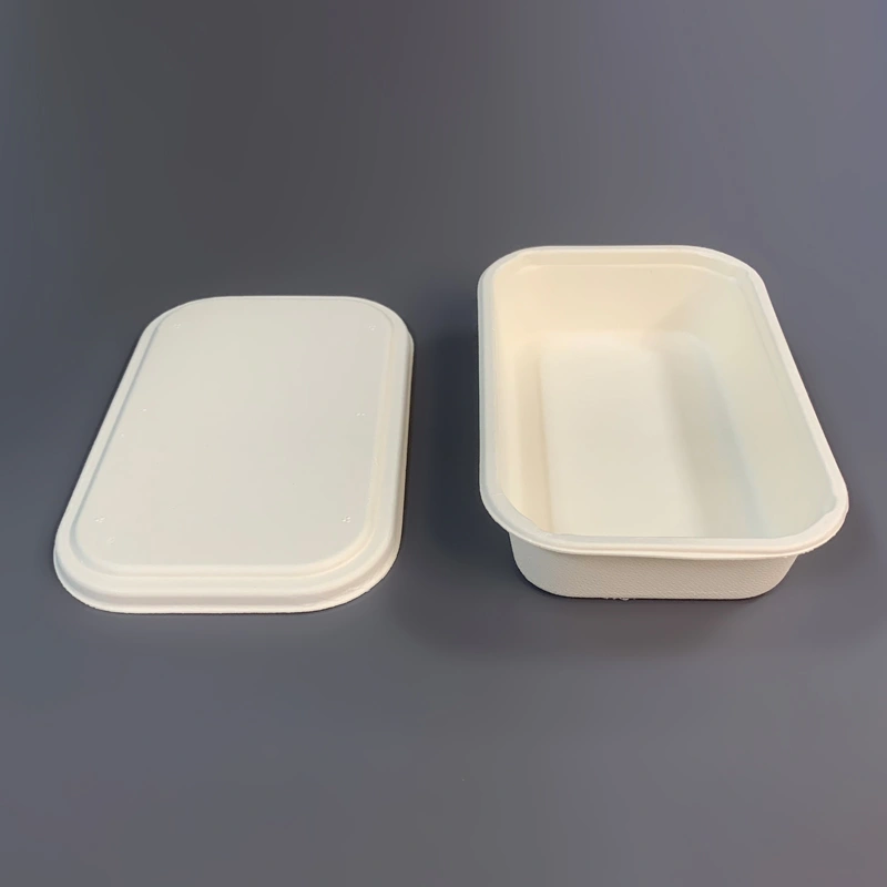 100% Compostable Bagasse Food Packaging Box with Lid