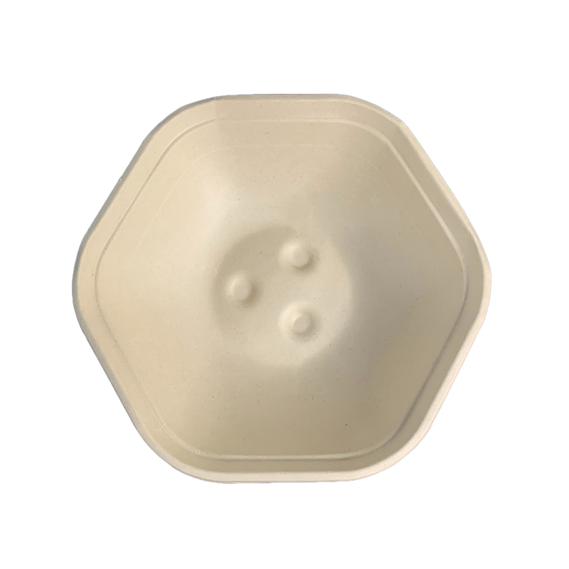 100% Biodegradable Bagasse Salad Bowl