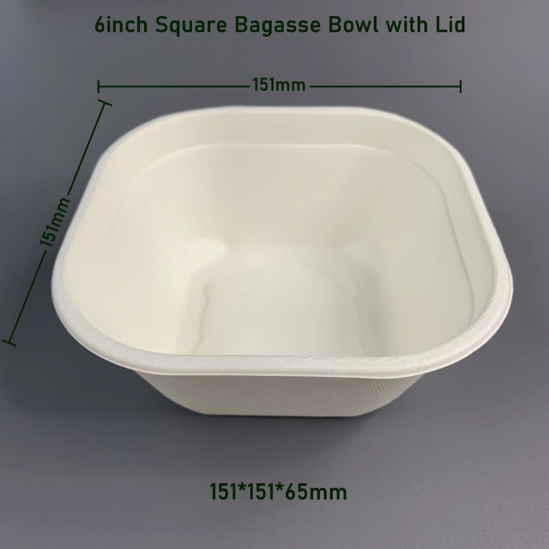 Compostable 6inch Square Bagasse Bowl with Lid