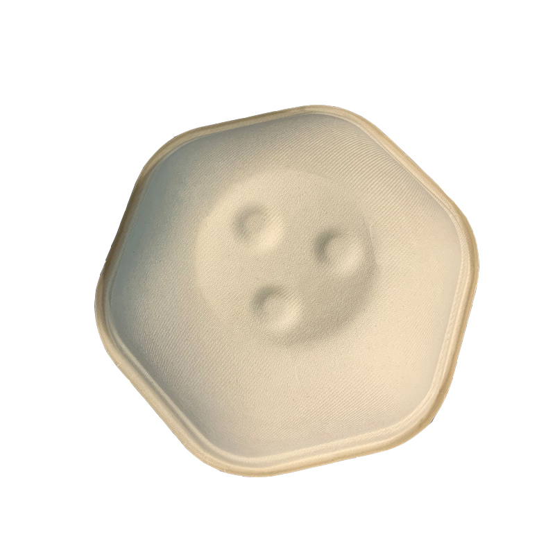 Bagasse Salad Bowl