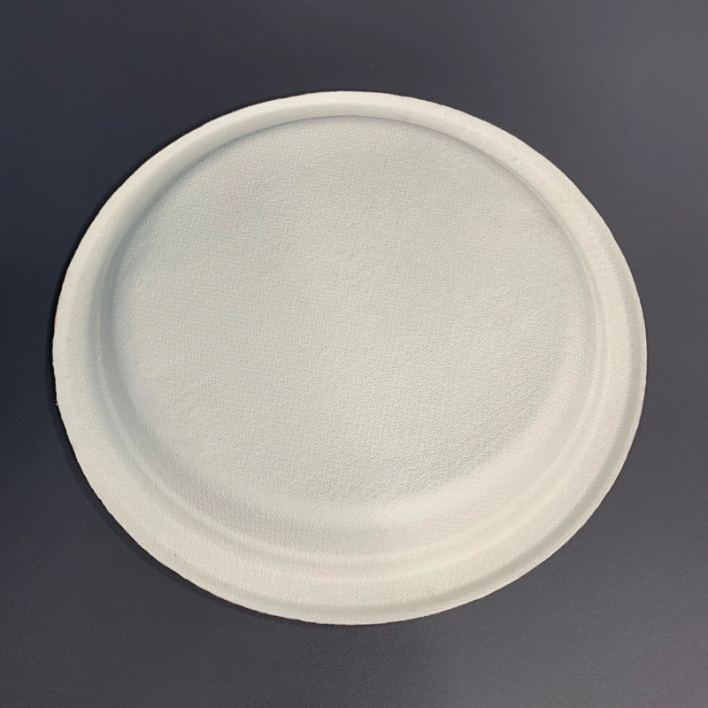 Biodegradable Food Plate