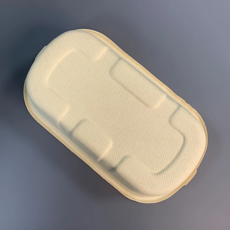Large Bagasse Disposable Take Out Containers