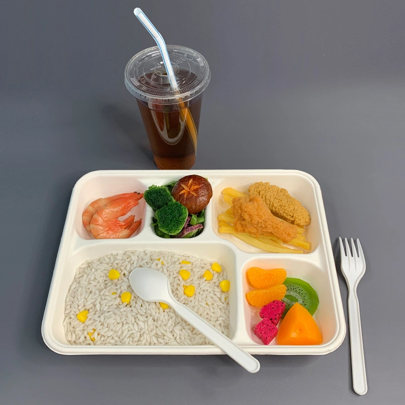 5Compartment Sugarcane Bagasse Food Tray School Lunch Tray