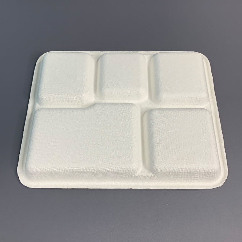 Sugarcane Bagasse Pulp Fast Food Tray Manufacturer from China