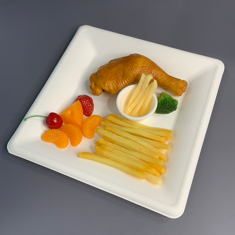 Square Sugarcane Disposable Plates