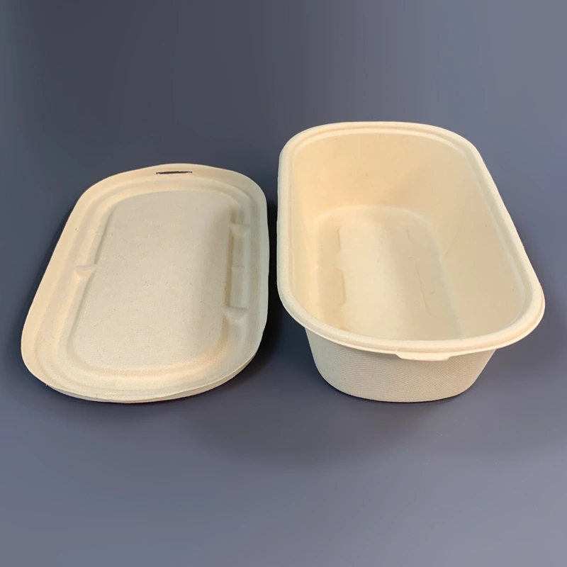 Bagasse Take Out Containers with Lids