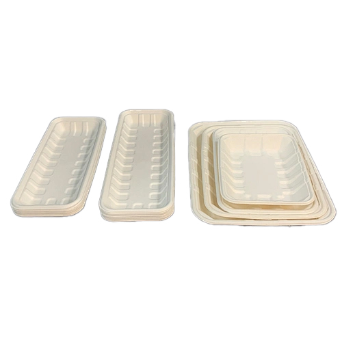 Bagasse Compostable