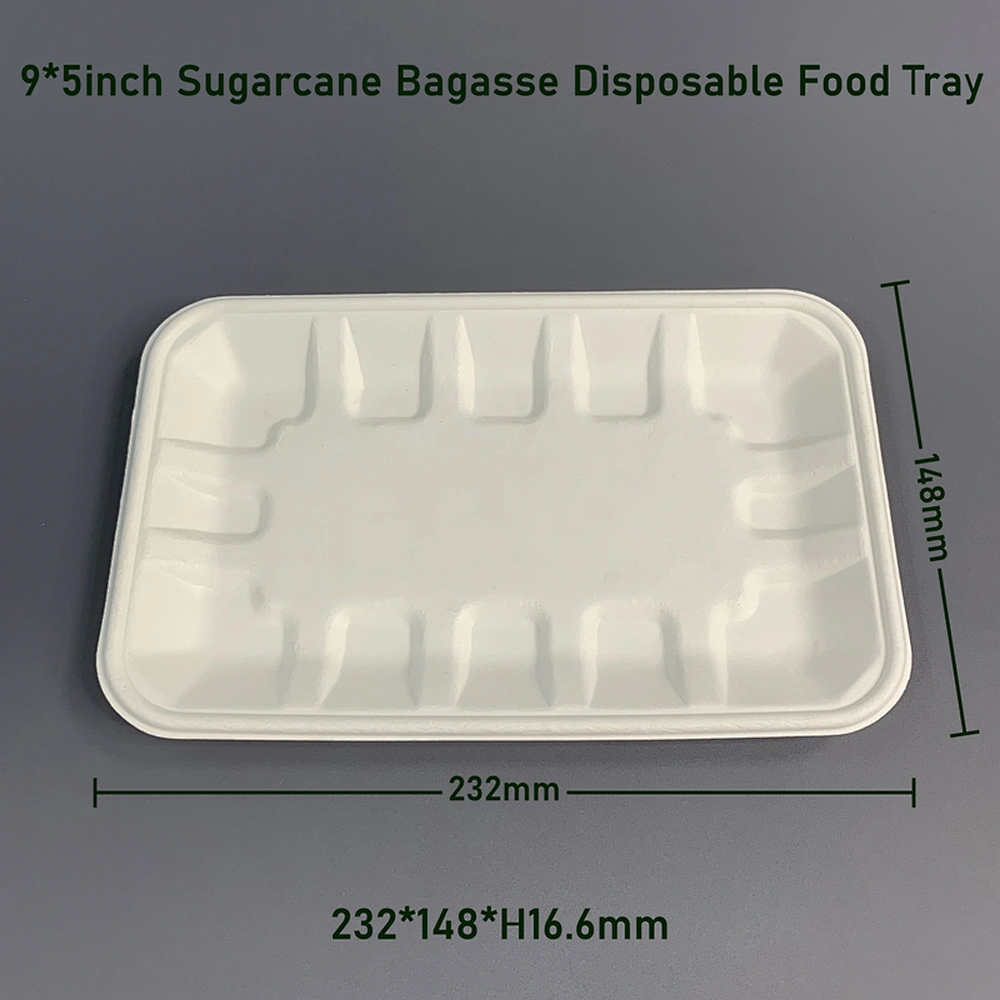 Bagasse Meal Tray