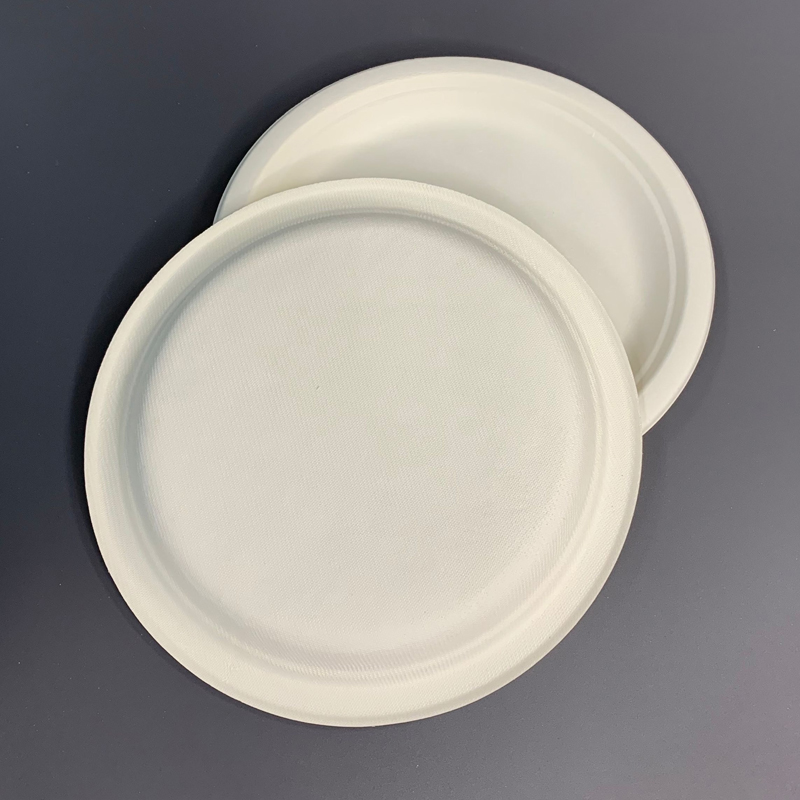 Bagasse Dispostable Food Plate
