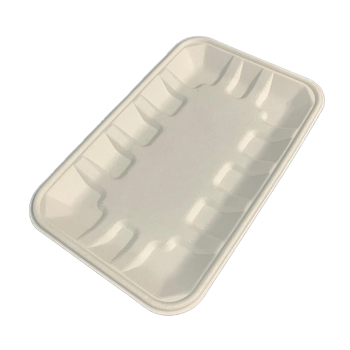 bagasse food trays