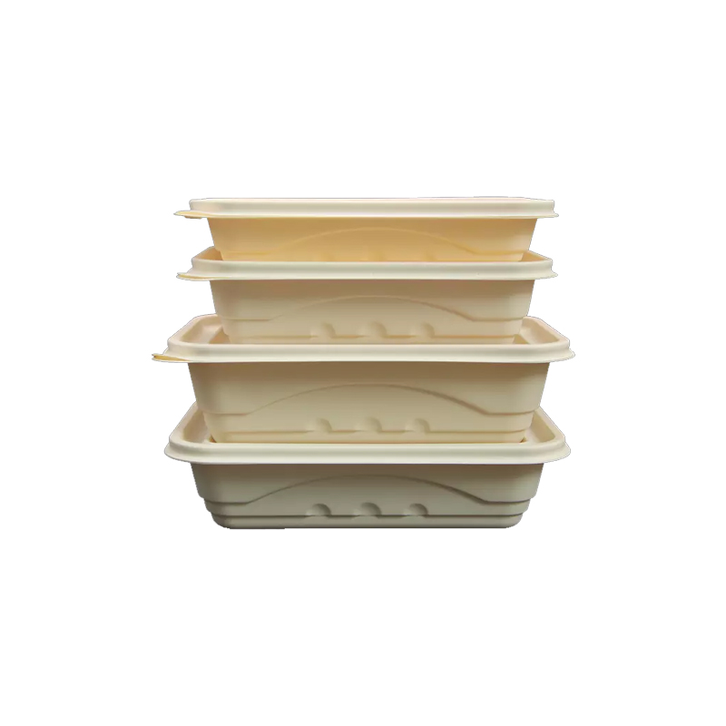 Various size Meal Lunch Box with Lid