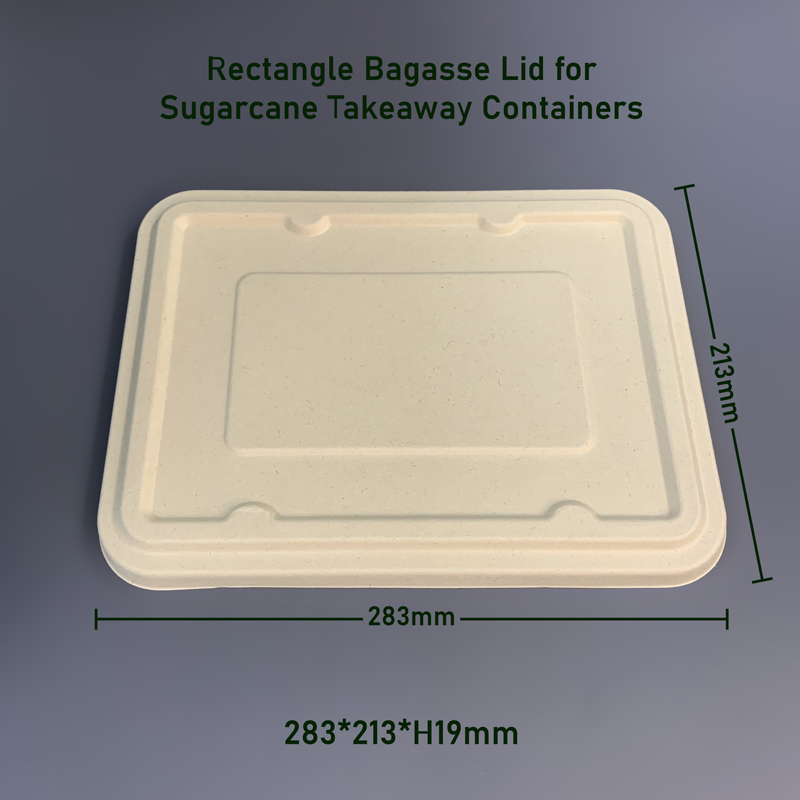 China Bagasse Lid Manufacturer