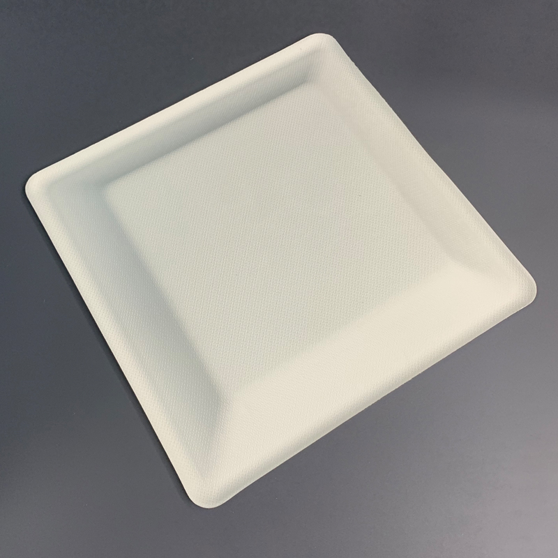 China Sugarcane Disposable Plates Manufacturert