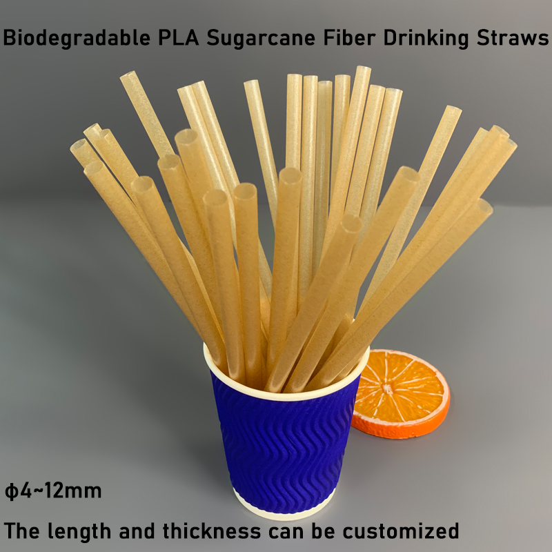 Biodegradable PLA Bagasse Straws