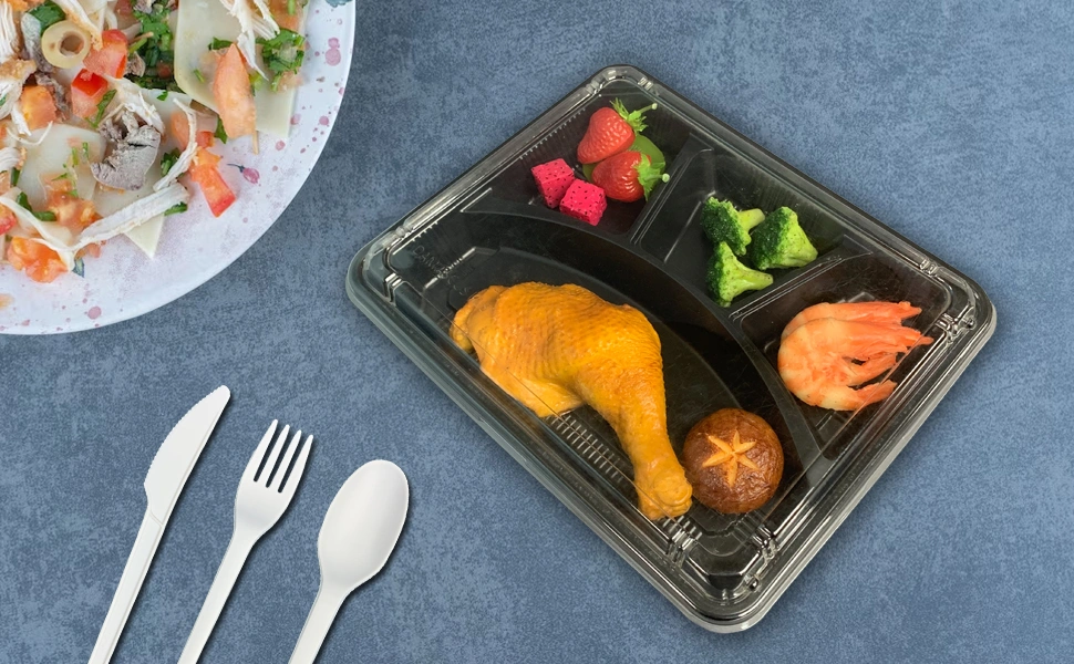 Multi Compartment Takeaway Containers Manufacturer