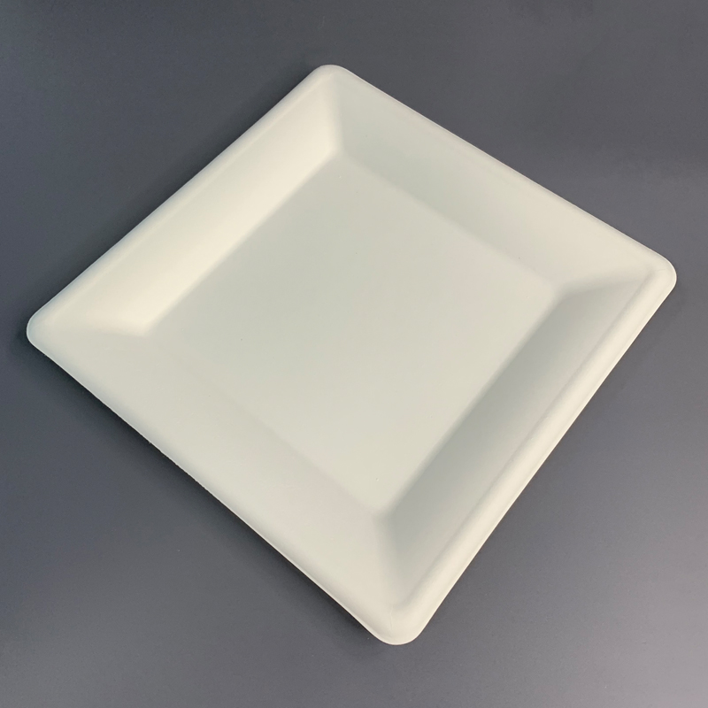 Compostable Square Sugarcane Disposable Plates