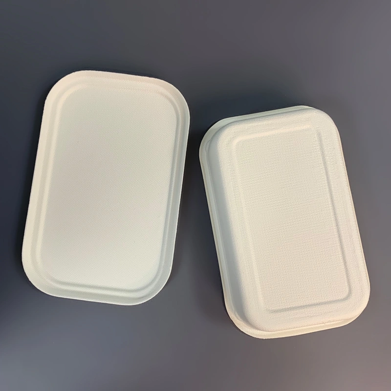 China Bagasse Food Packaging Box Manufacturer