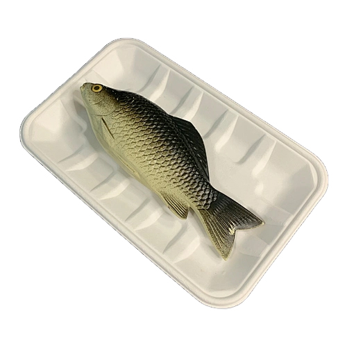 Bagasse Compostable