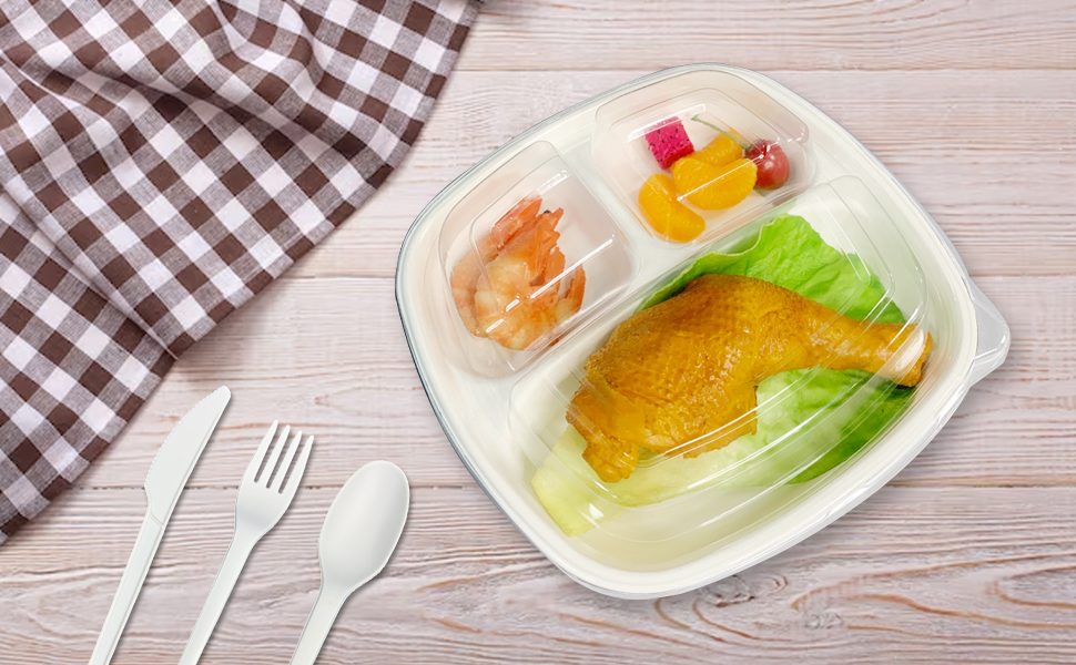 Biodegradable Bagasse Oval Dinner Plates with Lid