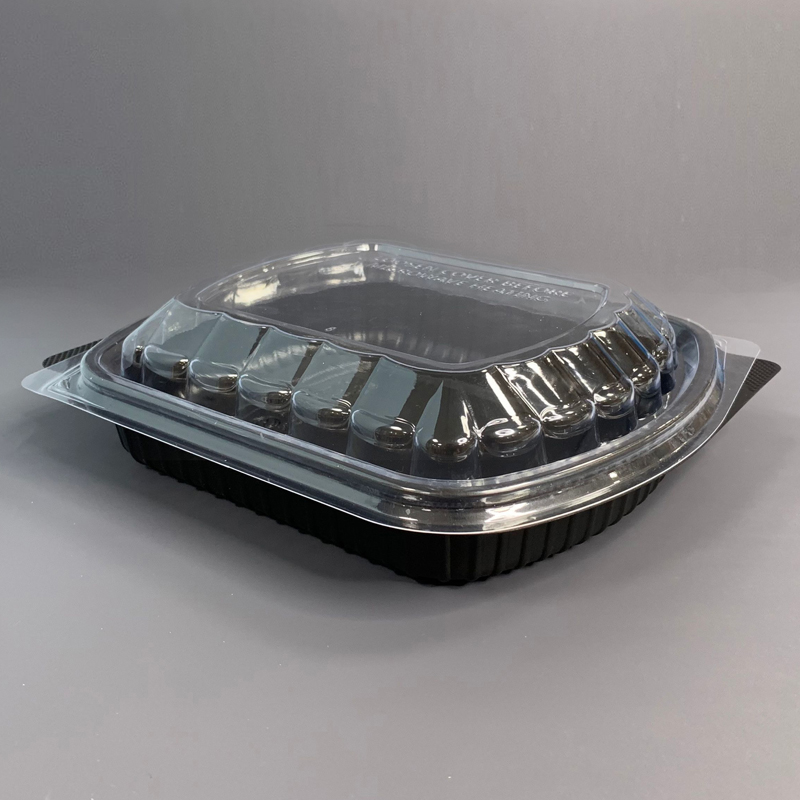Takeaway Box with PET Lid