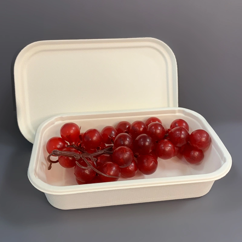 Biodegradable Bagasse Food Packaging Box with Lid