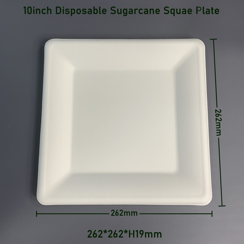 10inch Biodegradable Square Sugarcane Disposable Plates