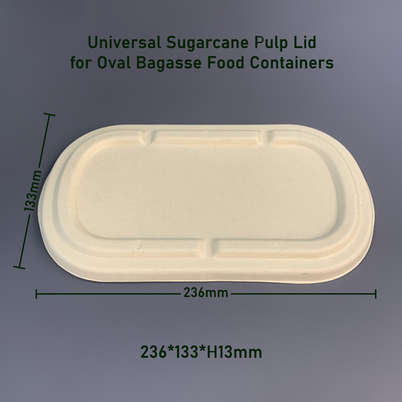 Universal Sugarcane Pulp Lid for Oval Bagasse Food Containers