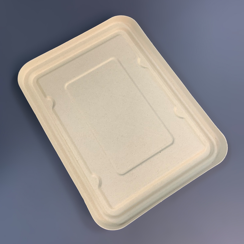 Biodegradable Bagasse Lid