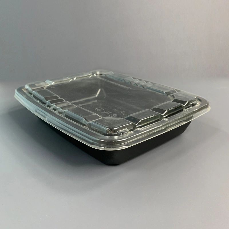 PP Plastic Sushi Box with Clear PET Lid