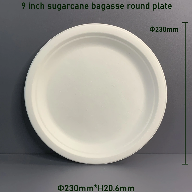 9 inch Sugarcane Pulp Plate