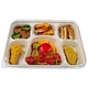 bagasse food tray