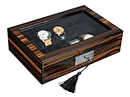 Watch Box Luxury