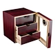 Cigar Storage Cabinet