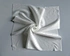 clean room cloth