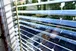 flexible solar panels
solar panel flexible
flexible solar panel for window
flexible solar panel for window blades
Flexible solar panel for Sunshade window
Solar Shutter panel
Solar Blades panel
Small Solar Panel
window solar panel
solar window panel
solar