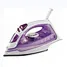 Multifunction steam iron