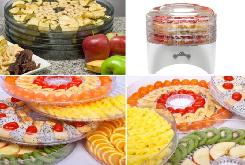 professional food dehydrator